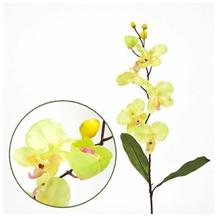 Искусственные цветы орхидея фаленопсис "Спринг" светло-зеленая 73 см для декора