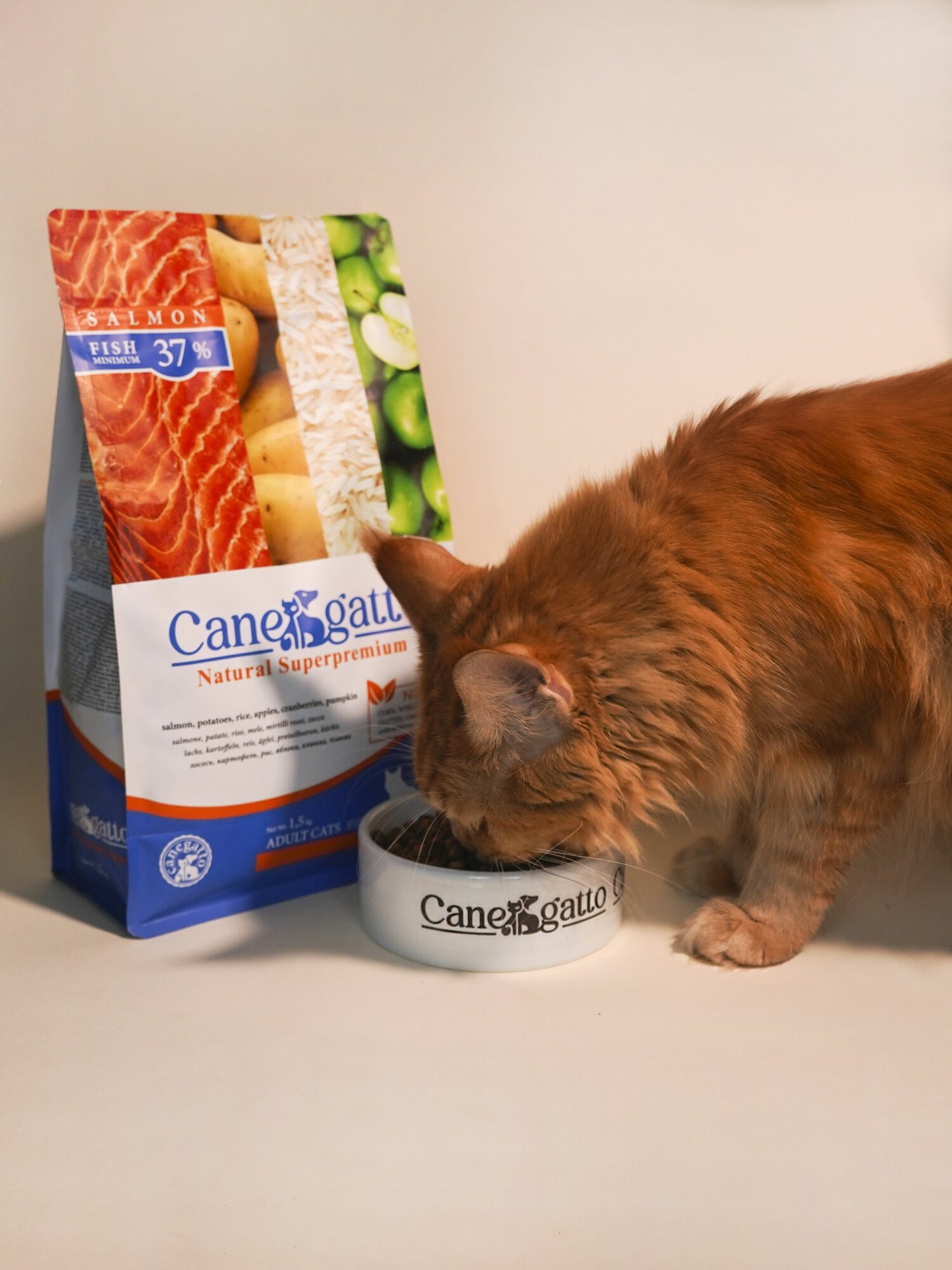 Корм для кошек сухой CANEGATTO, со вкусом лосось 1,5 кг, супер премиум - фотография № 7