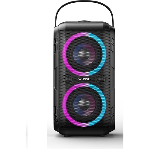 Портативная акустики W-King T9-2 1002000₽