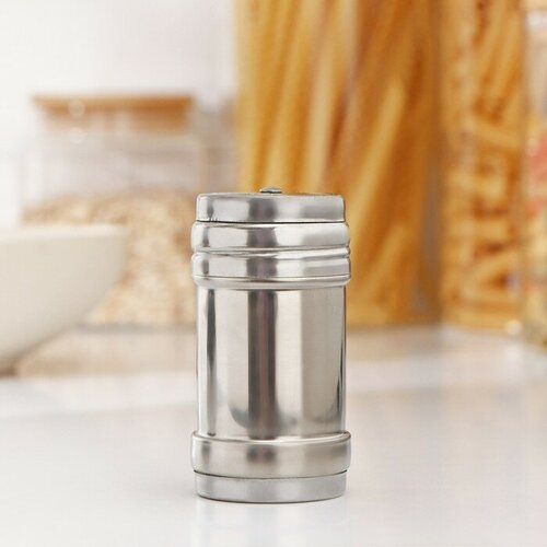 Ёмкость для специй из нержавеющей стали Металлик 80 мл 48 см 562₽