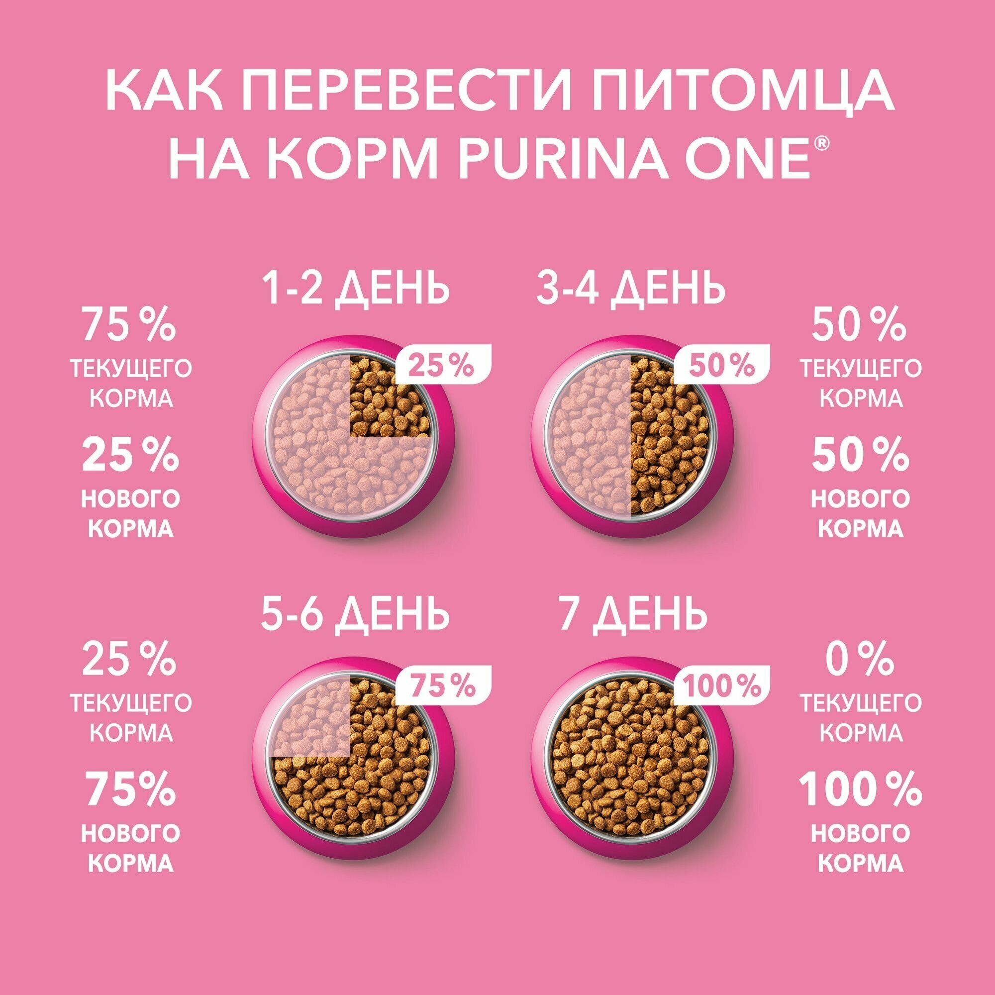 Влажный корм для котят Purina ONE Kitten, в соусе с курицей и морковью, 75 г x 26 шт - фотография № 8