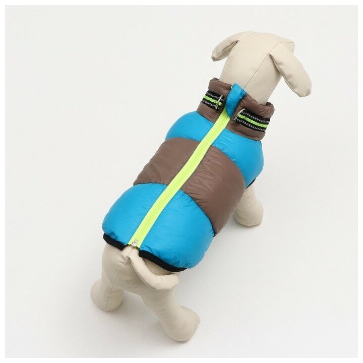 Куртка для собак с ошейник, размер 10 (ДС 25 см, ОГ 34 см, ОШ 24 см), серо-голубая - фотография № 3