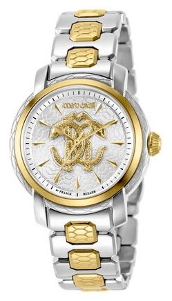 Наручные часы Roberto Cavalli by Franck Muller Logo, мультиколор, серебряный