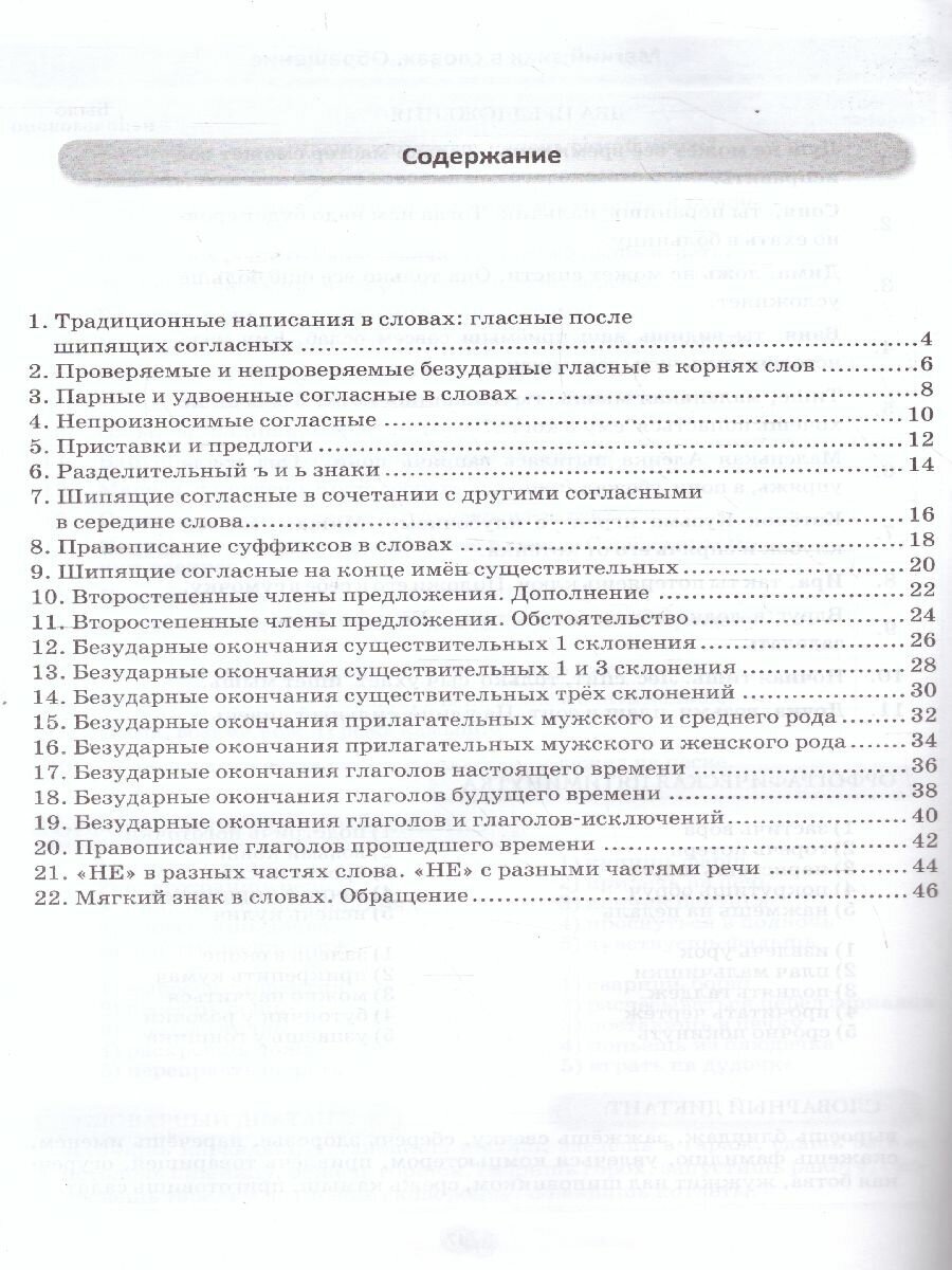 Русский язык. 3-4 класс. Мини-диктанты. - фото №3