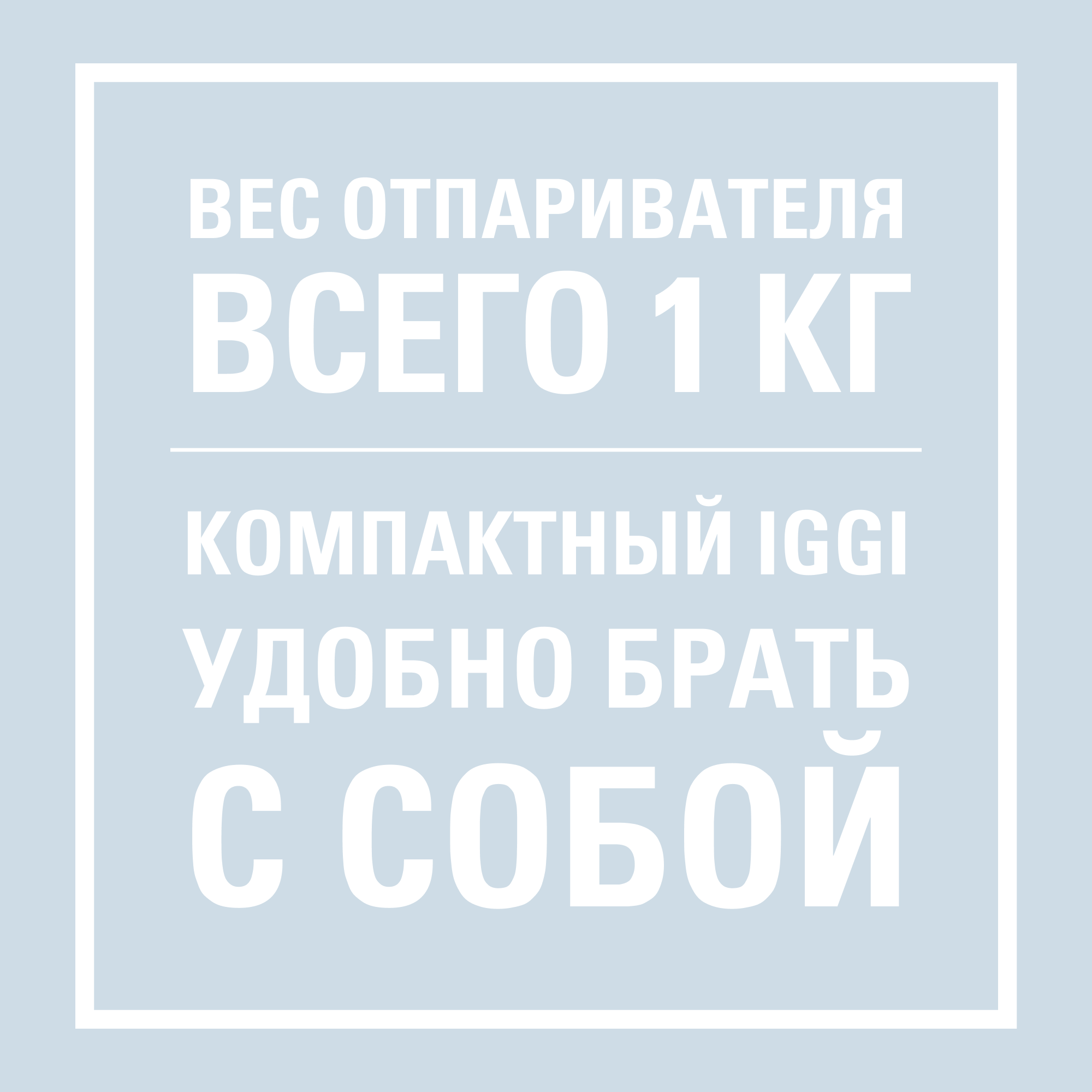 Ручной отпариватель Laurastar - фото №3