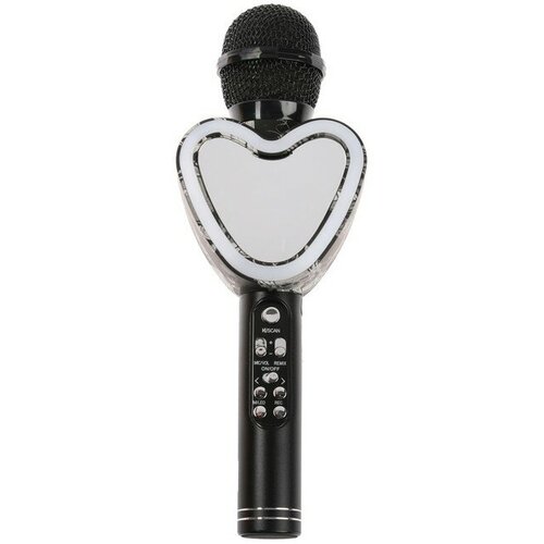 Микрофон для караоке Q5, 3 Вт, 1800 мАч, Bluetooth, FM, microSD, чёрный