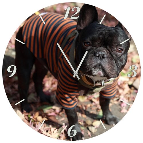 фото Настенные часы svs 4001865