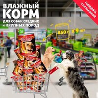 Лучшие Корма для собак при болезнях жкт влажные