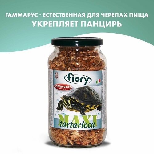 FIORY Maxi Tartaricca корм для черепах креветка, 1 л. креветки agama северная креветка 3 в м неразд 850гр агама истра