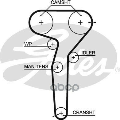 Ремень Грм Gates арт. 5423XS