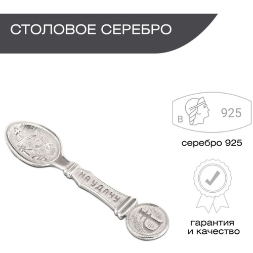 Ложка сувенирная из серебра 925 пробы для кухни