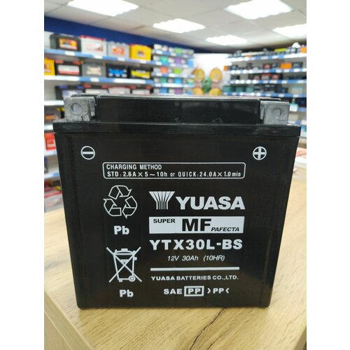АКБ 30Ач Yuasa AGM YTX30L-BS О.П. 166х126х175