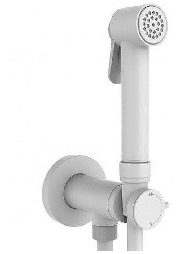 Гигиенический душ со смесителем Bossini Paloma Brass E37007B.045 цвет: белый матовый