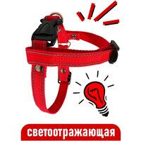 Шлейка для собак Petsare светоотражающая обхват груди 44-60 см, красный