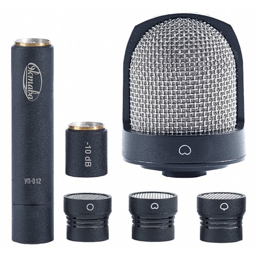 Октава МК-012-10 черный в деревянном футляре 6580000₽