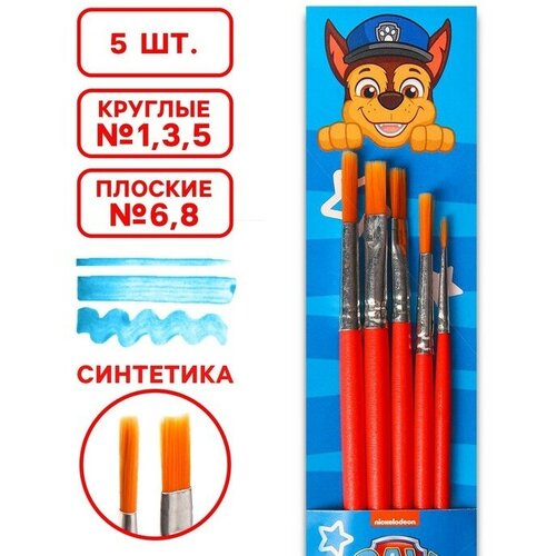 Набор кистей Синтетика 5шт (кр №1,3,5; пл: №6,8), Paw Patrol