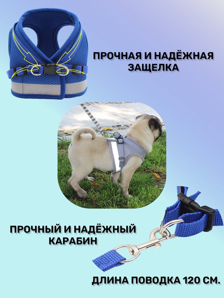 Шлейка с поводком для собак мелких и средних пород / Шлейка для кошек, М-Синяя - фотография № 4