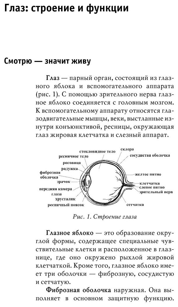 Книга Зрение на все 100% (Смирнова Елена Юрьевна) - фото №6