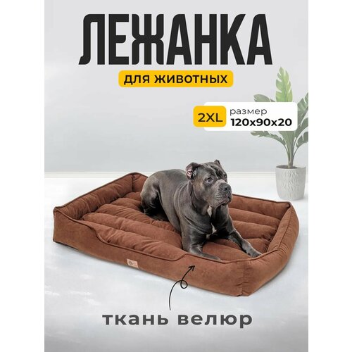 Лежанка для Кошек и Собак Большая с Бортиками и Подушкой