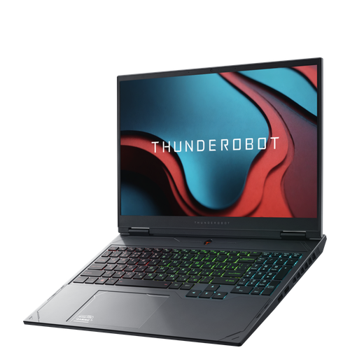 Ноутбук игровой Thunderobot Gravity 16 Max16Core i9-14900HX321TBRTX 4070WinGrey Metallic 313000₽