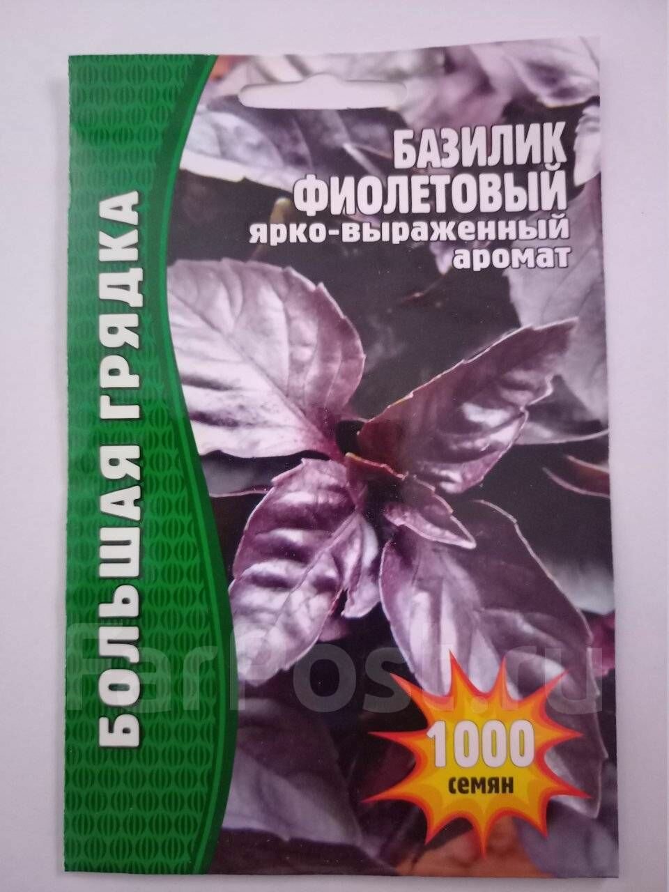 Семена Базилик фиолетовый 1000 шт Большая грядка