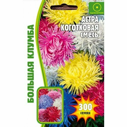 Астра Коготковая смесь 200 шт Большая клумба