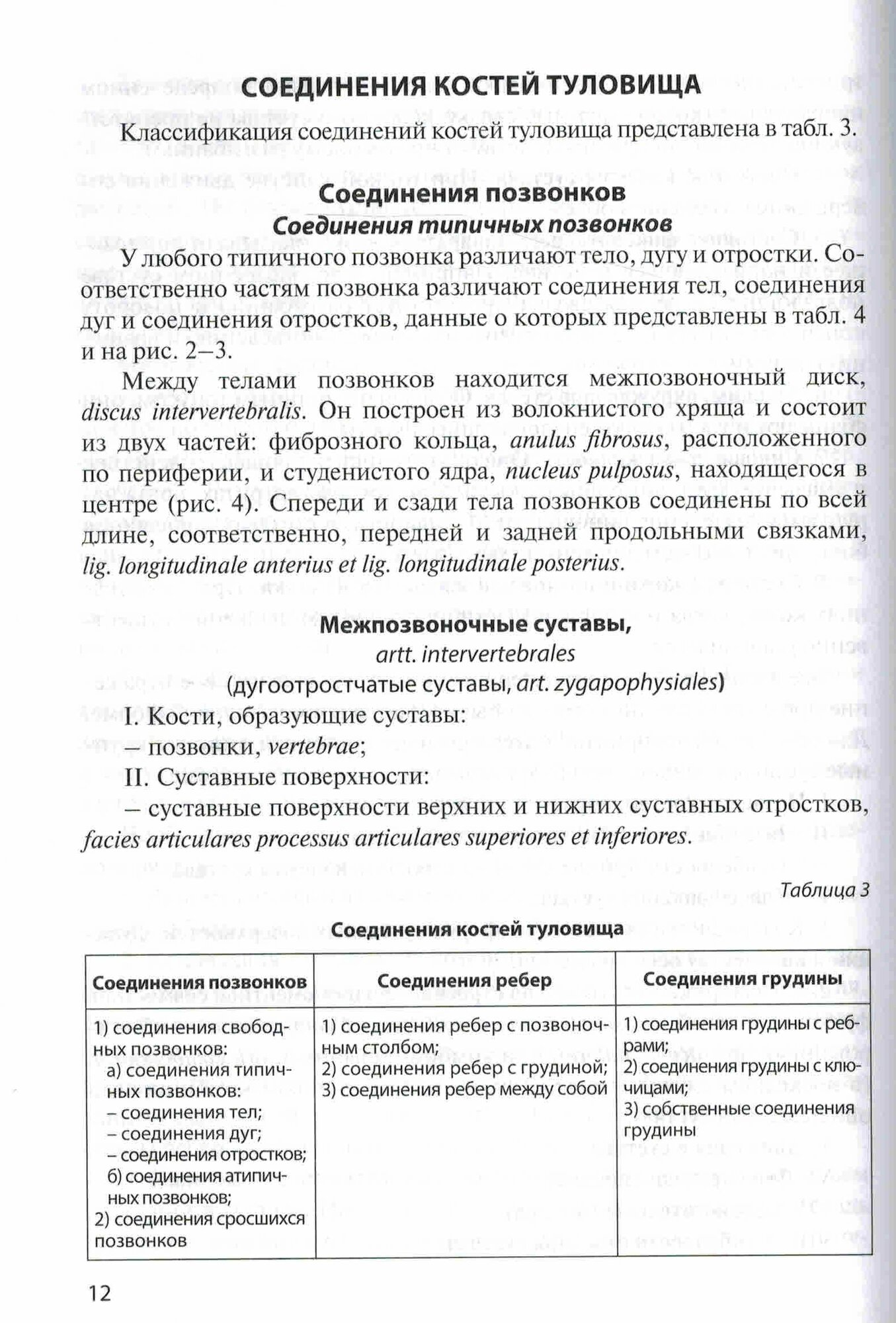 Анатомия соединений костей — фото 1