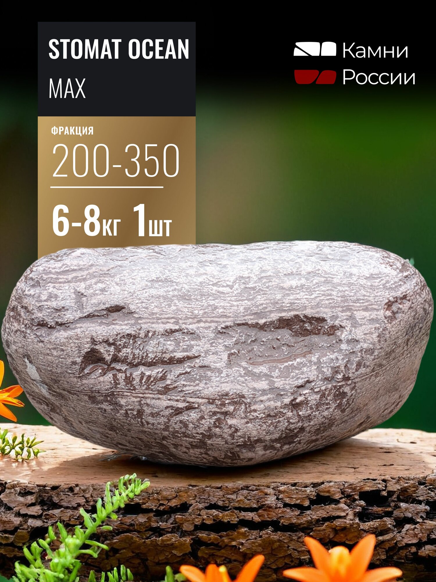 Камень декоративный, STOMAT OCEAN max, 1шт, 200-350мм, 6-8кг.