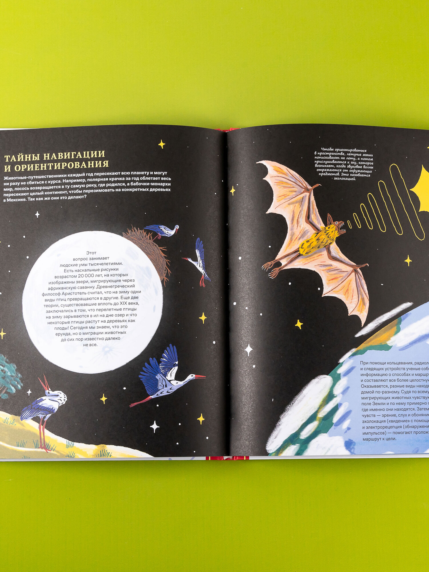 Невероятные странствия животных : навигация и миграция по воздуху, суше и морю - фото №9