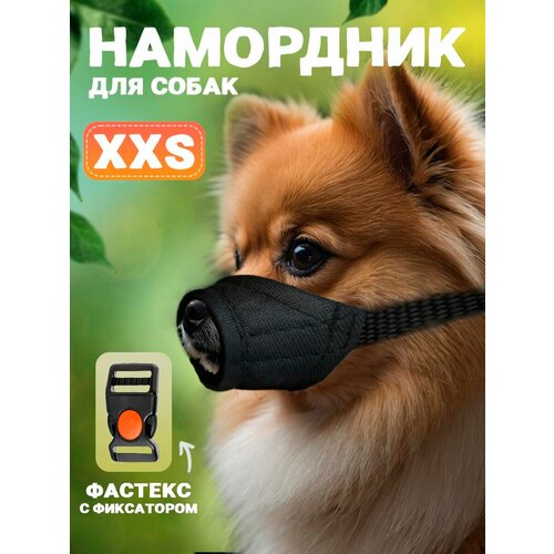 Намордник для собак