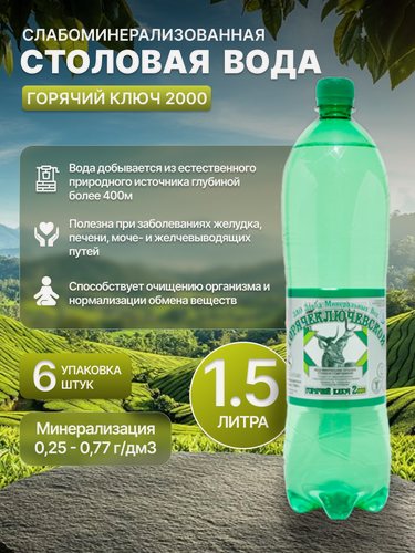 Изображение товара Минеральная вода «Горячий ключ 2000», сульфатная, гидрокарбонатная, кальциево-натриевая