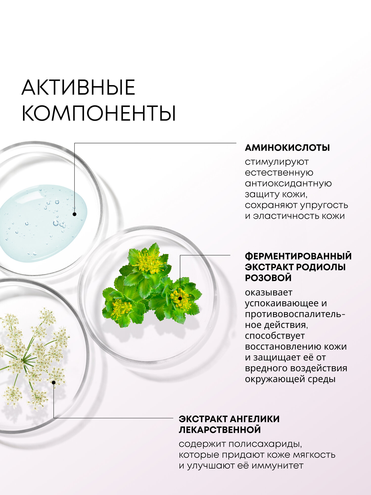 Сыворотка для лица Natura Siberica Lab Biome Sensitive успокаивающая восстанавливающая, увлажняющая с пробиотиками 50 мл — фото 1