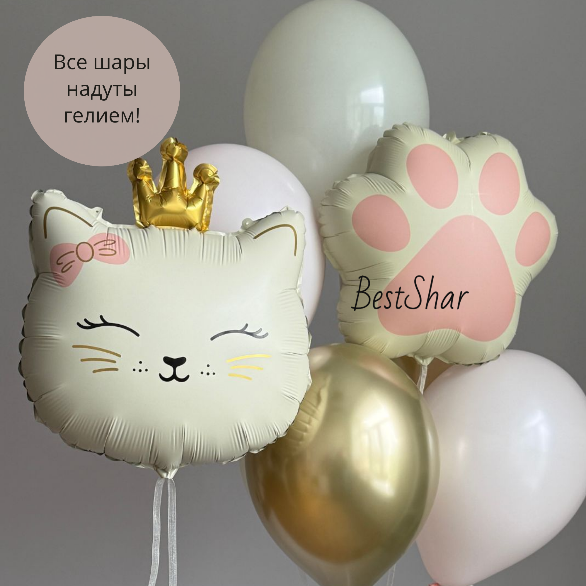 Композиция из воздушных шаров с гелием BestShar "Кошечка-принцесса"