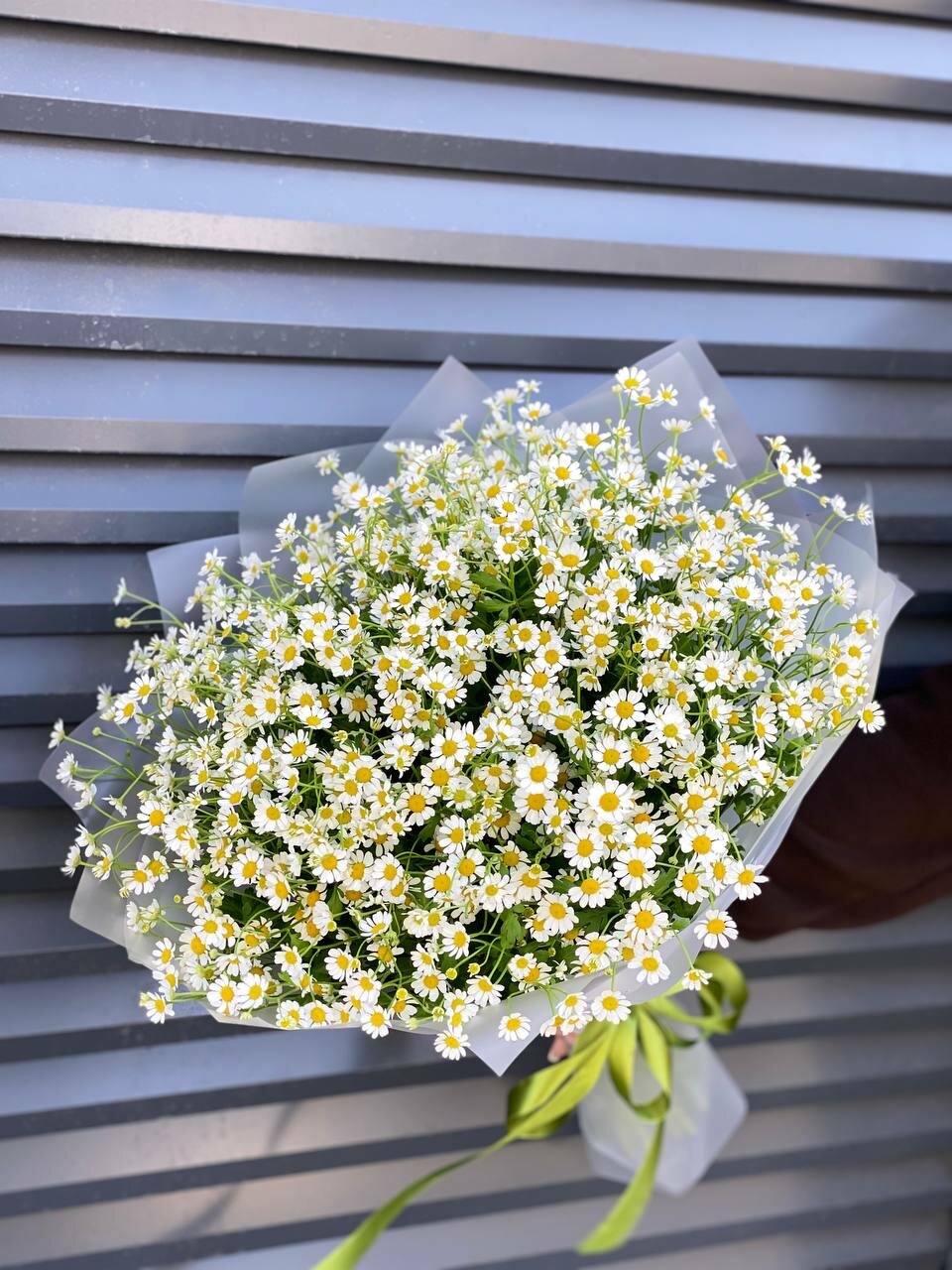 Букет wowflo "Ромашки Камилла", кустовые ромашки, высота 50см, 51 цветок, белый — фото 1