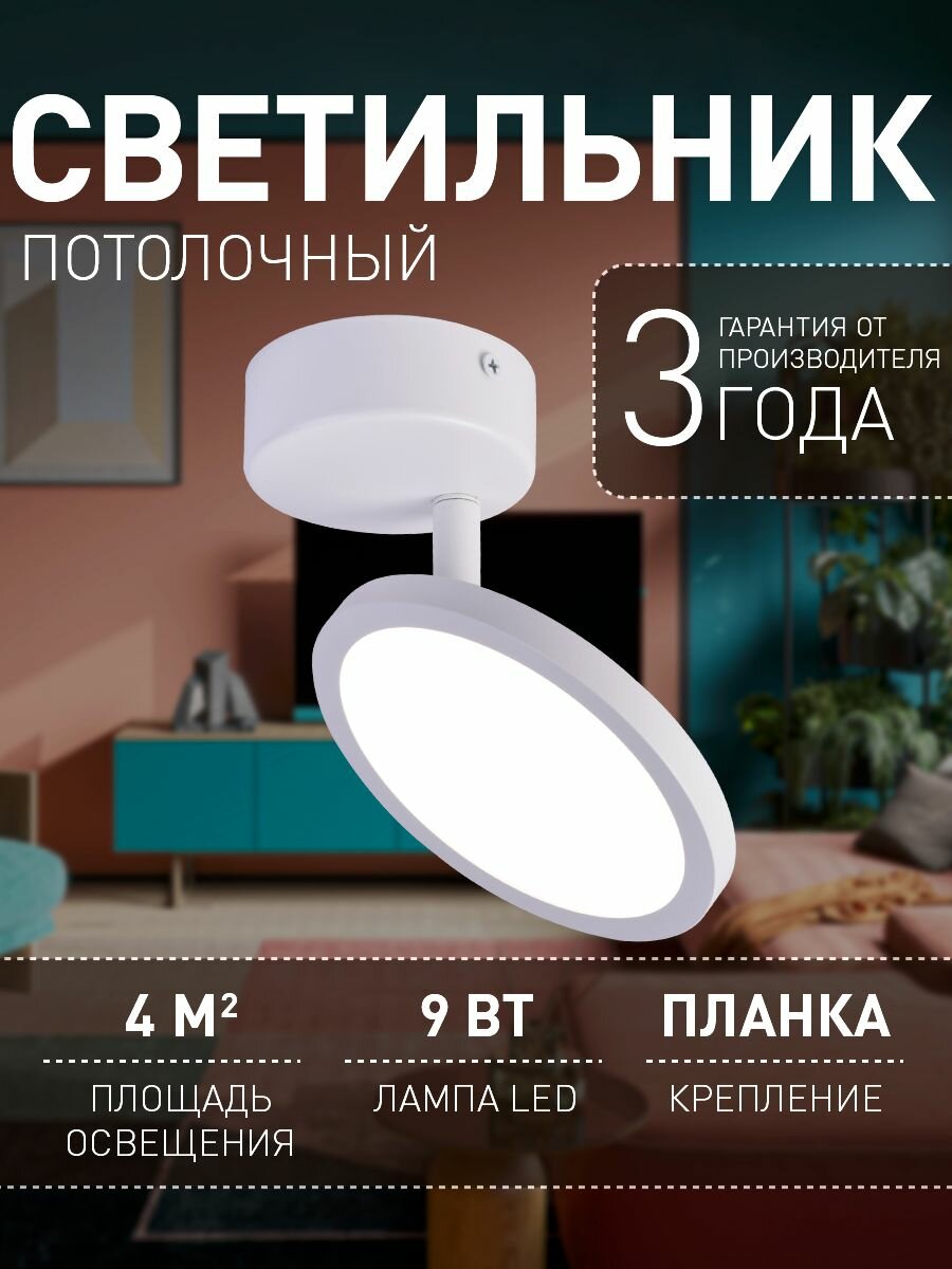 Светильник настенно-потолочный светодиодный Favourite 4119-1U