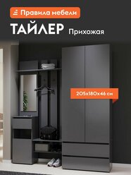Прихожая комплект Тайлер, со шкафом, с зеркалом, с полками, с вешалками, с обувницей, 180.2х46.2х205.2 см, Графит