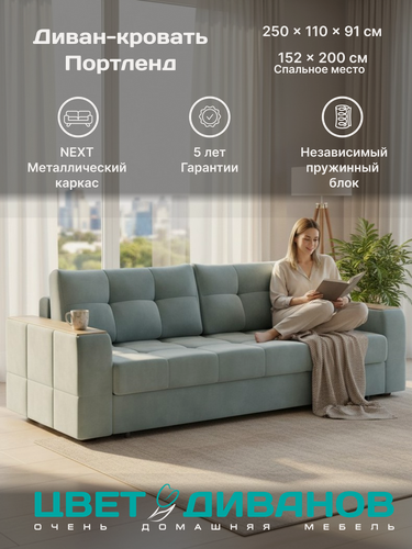 Изображение товара Прямой диван кровать Цвет Диванов Портленд NEXT 22 250 раскладной, с ящиком для белья, ортопедический матрас
