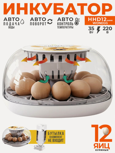 Изображение товара Инкубатор HHD 12 Wonegg мини автоматический на 12/35 яиц, белый