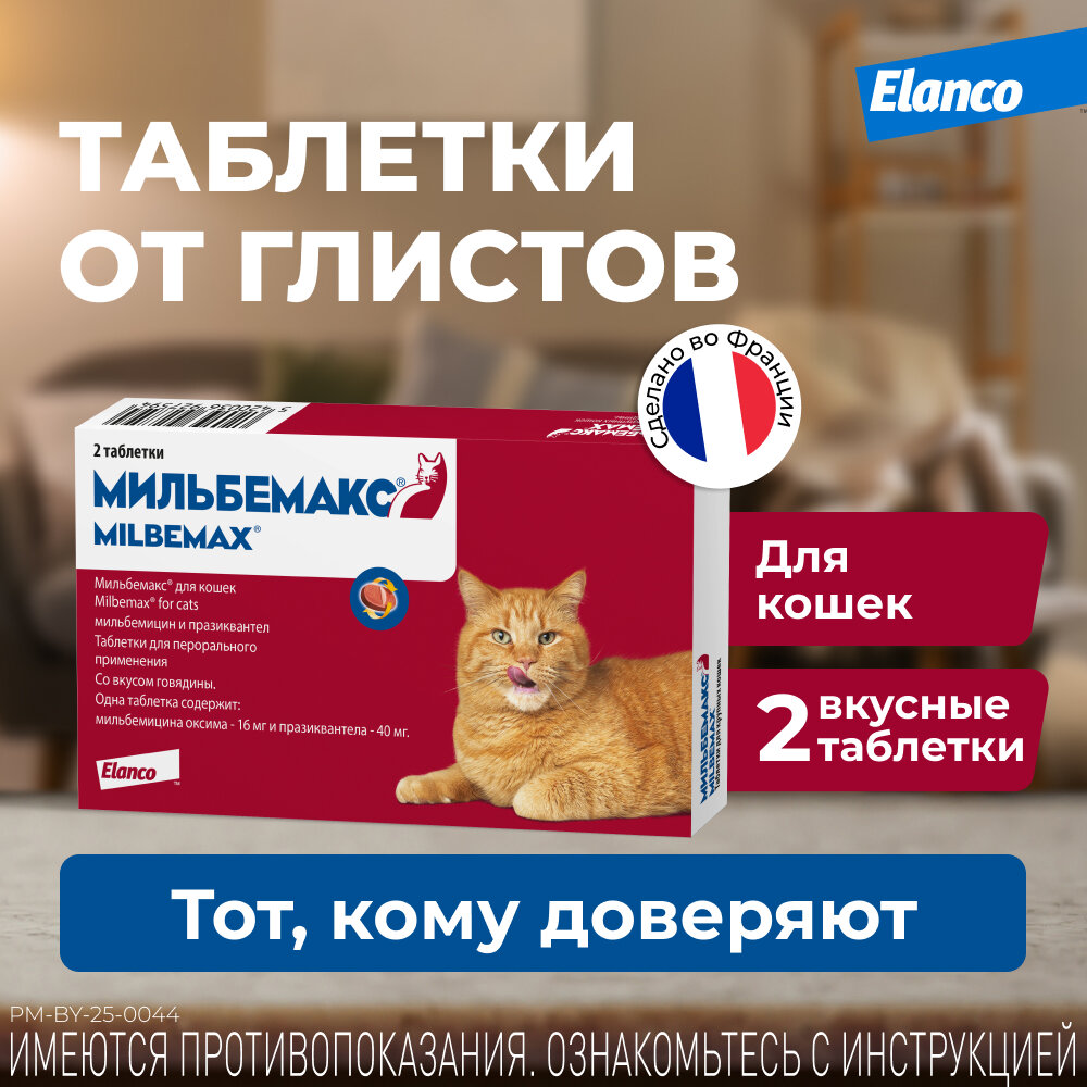 Мильбемакс (Elanco), таблетки от гельминтов со вкусом говядины для крупных кошек – 2 таблетки