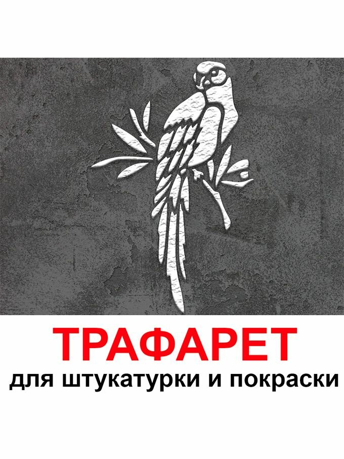 Трафарет попугай 40х60 см для штукатурки и покраски многоразовый из пластика ТриКита
