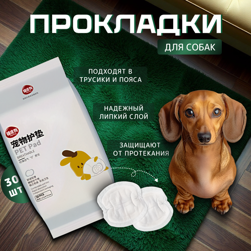 Прокладки для собак гигиенические в трусы во время течки Big Tiny, памперсы или подгузники для собак и кошек, 30 шт