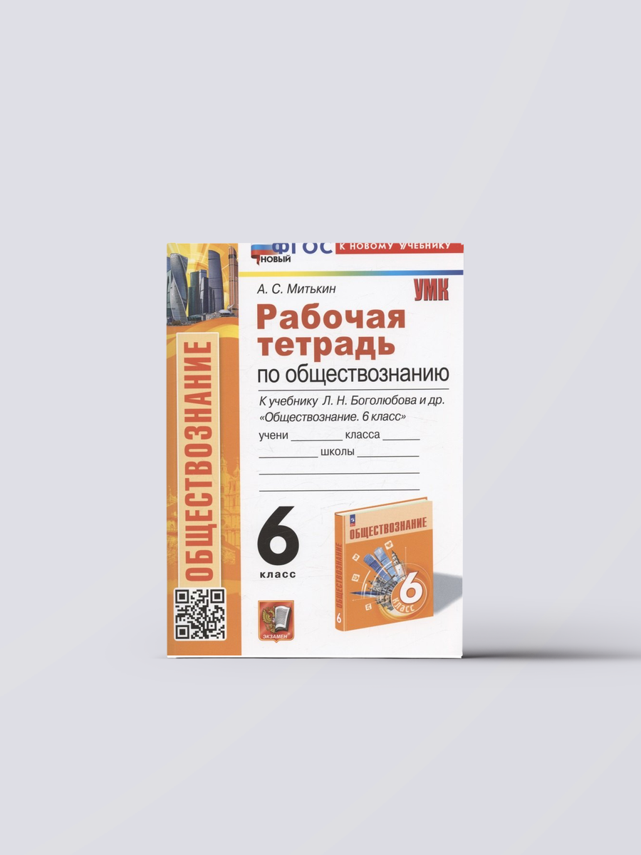 Рабочая тетрадь по обществознанию. 6 класс. К учебнику Л. Н. Боголюбова, Е. Л. Рутковской, Л. Ф. Ивановой и др. "Обществознание. 6 класс" | Александр Митькин Книга