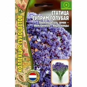 Статица Суприм Голубая 25шт. Коллекция сухоцветов