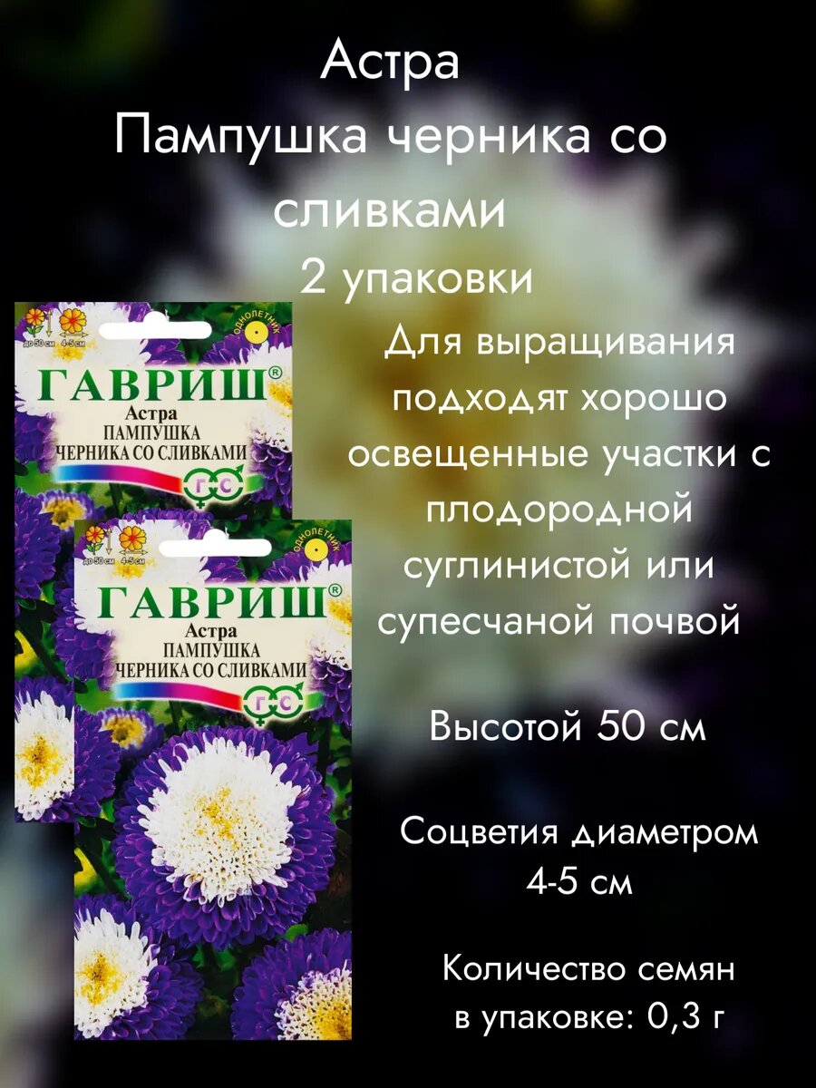 Астра Пампушка черника со сливками 2 упаковки