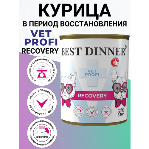 Консервы Best Dinner Vet Profi Recovery лечебный, для кошек и собак, при послеоперационном восстановлении 340гр