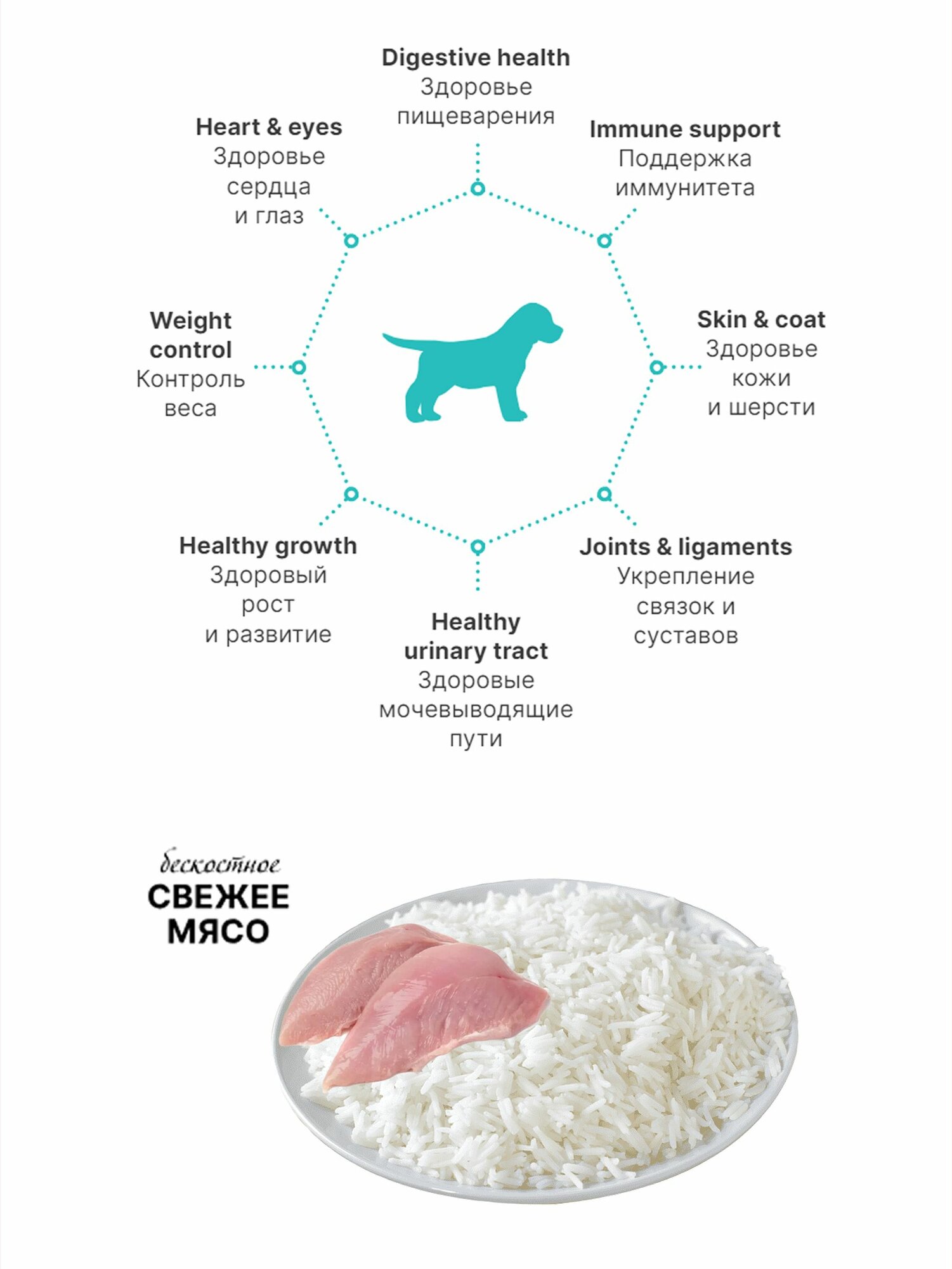 Сухой корм для собак Premier Dog Turkey PUPPY (Свежее мясо индейки Для щенков всех пород с 3 недель, беременных и кормящих собак) 3 кг — фото 1