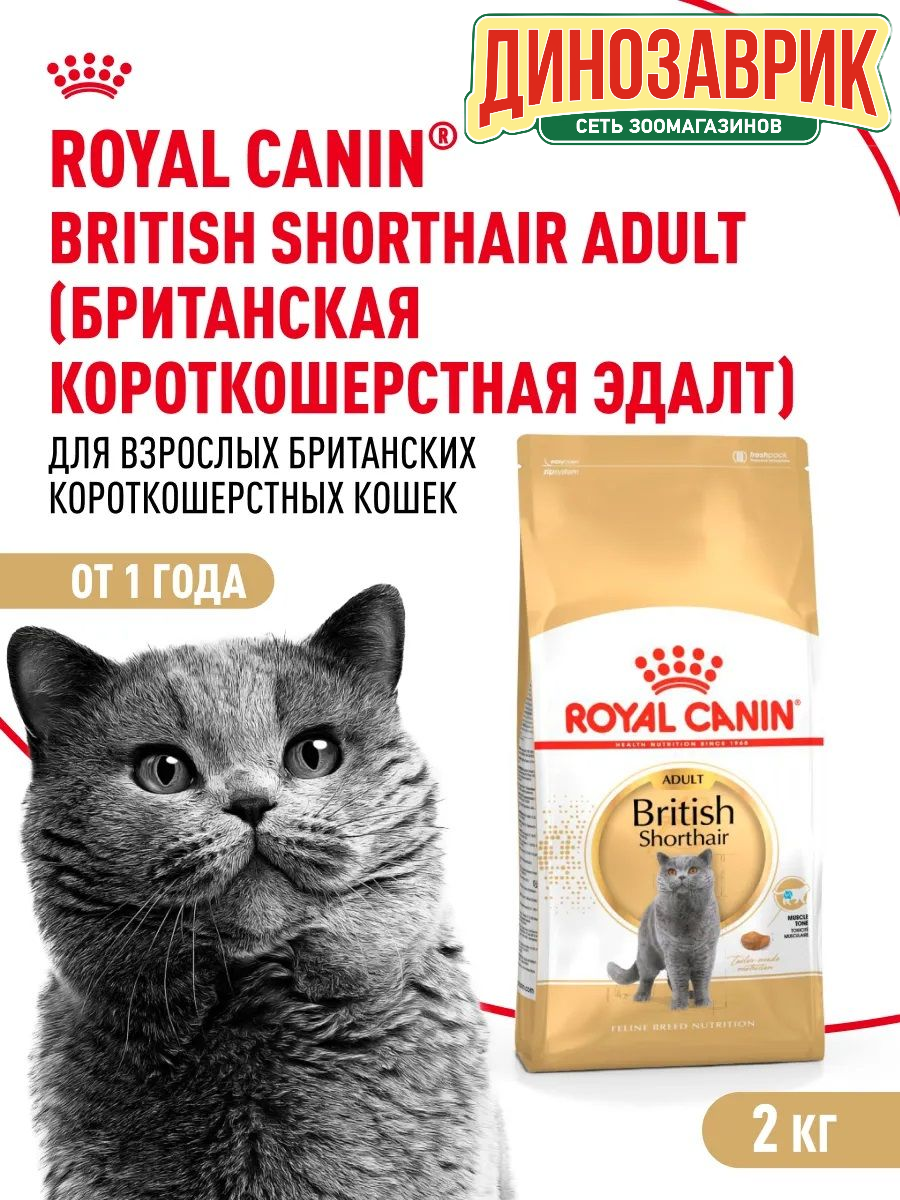 Сухой корм ROYAL CANIN для кошек британская короткошерстная 2 кг