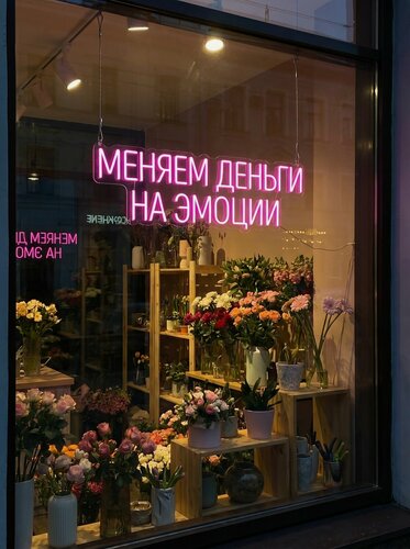 Изображение товара Неоновая вывеска "меняем деньги на эмоции" 90х30см, неоновая надпись, LED светильник