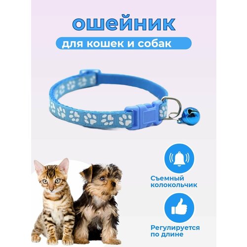 Ошейник, для кошек и собак, нейлон, декоративный, XS, голубой