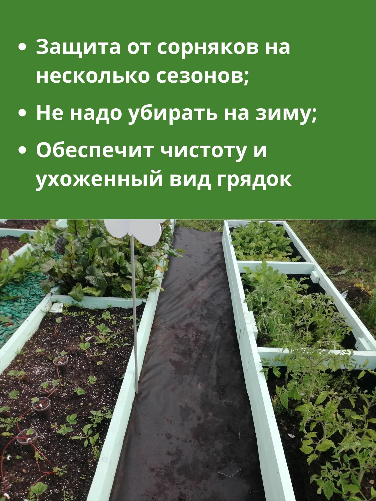 Агроткань от сорняков 120 0,4х8 м с УФ, защитная полоса для междурядий — фото 1